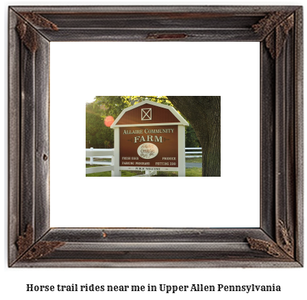 horse trail rides near me in Upper Allen, Pennsylvania